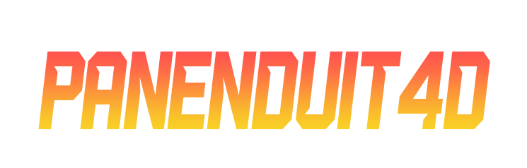 Panenduit4d